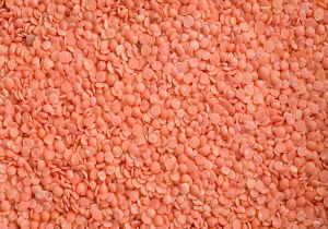 lentils