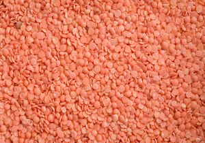 lentils